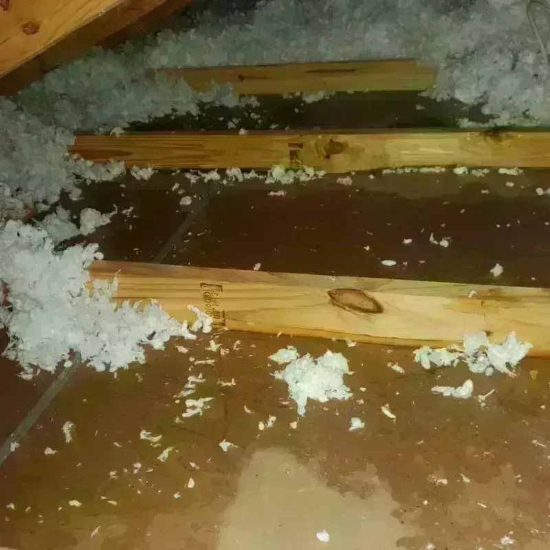 Attic Water Damage in Winlock, WA