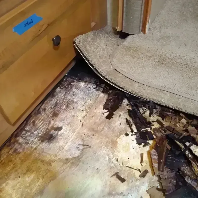 Best Wood Floor Water Damage Service in Winlock, WA